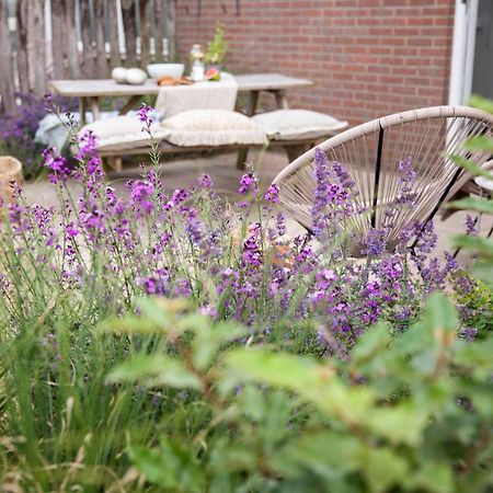 Vakantiehuisje Bloem 4 Personen Stolpen Экстерьер фото
